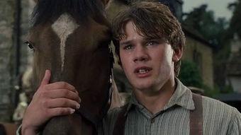 战马 免费在线观看,免费在线观看，感受史诗般的战争传奇  第1张